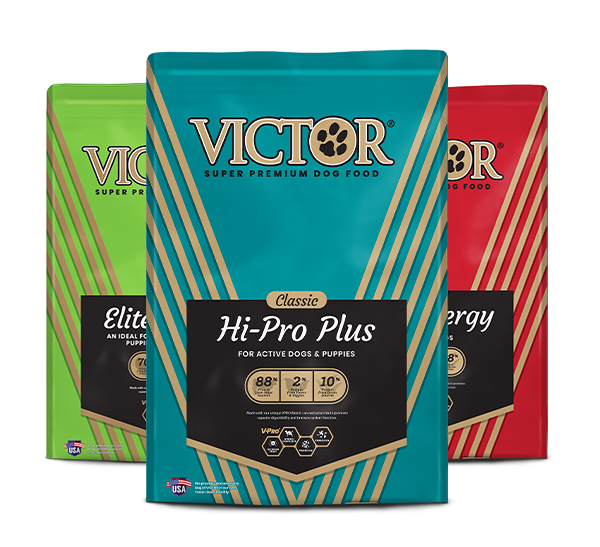Group of three Victor Classic Multigrain dog food bags