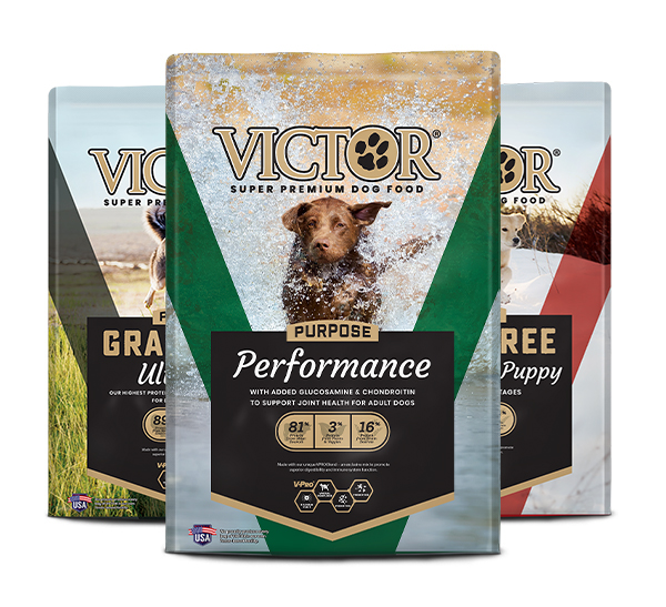 Group of three Victor Grain Free dog food bags