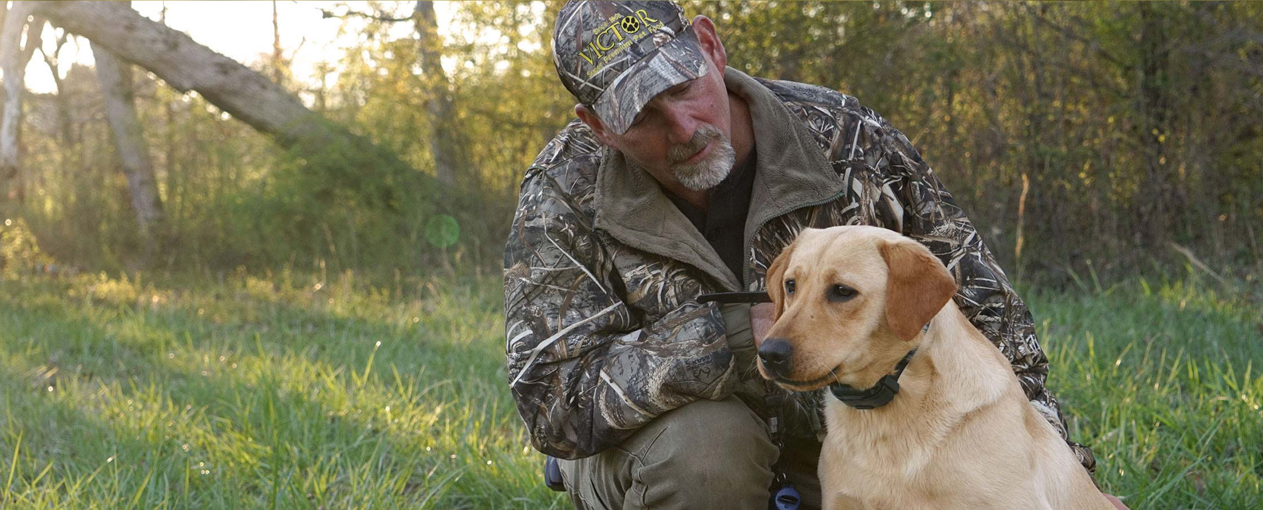 Dog trainer Shawn Sims with yellow labrador retriever dog in field